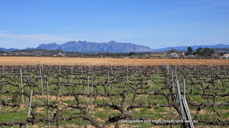 Katalonien (Spanien) 2026 – Route und Stellplätze - Bahnradwege Flüsse und Seen Historische Altstadt Industriekultur Kultur Outdoor-Erlebnisse Spanien Wohnmobil-Touren  20260131_123043-780x439
