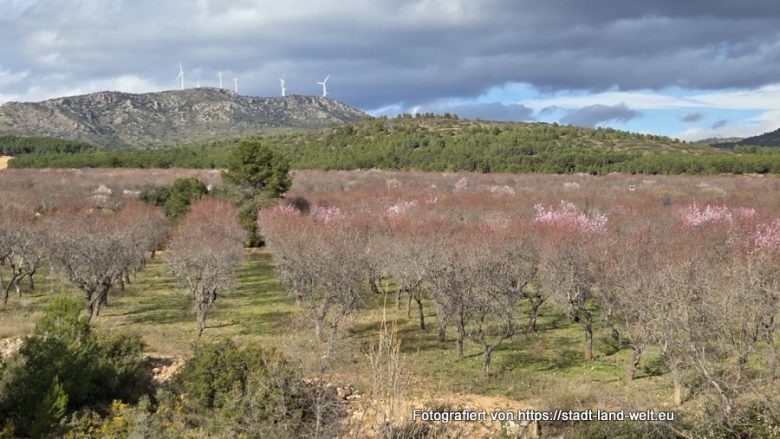 Katalonien (Spanien) 2026 – Route und Stellplätze - Bahnradwege Flüsse und Seen Historische Altstadt Industriekultur Kultur Outdoor-Erlebnisse Spanien Wohnmobil-Touren  20260206_151649-780x439