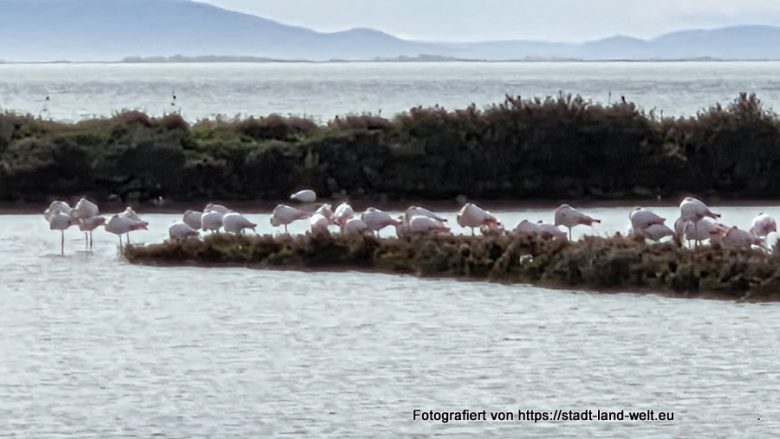 Katalonien (Spanien) 2026 – Route und Stellplätze - Bahnradwege Flüsse und Seen Historische Altstadt Industriekultur Kultur Outdoor-Erlebnisse Spanien Wohnmobil-Touren  20260216_143406-780x439