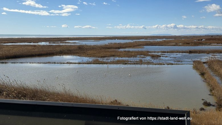 Katalonien (Spanien) 2026 – Route und Stellplätze - Bahnradwege Flüsse und Seen Historische Altstadt Industriekultur Kultur Outdoor-Erlebnisse Spanien Wohnmobil-Touren  20260217_123812-780x439