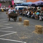 Wellekipperrennen Haibach Dorffest Bilder