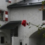 Ein Tag auf der Burg Hohenwerfen, Salzburger Land, Österreich -  Kurzmeldung  Burg-Hohenwerfen-Burghof-002-150x150