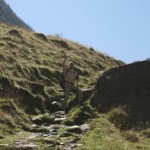 Großarltal, Salzburger Land: Auf dem Weg zur Kreealm - Kategorien: Kurzmeldung 