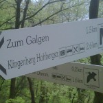 Mainwanderweg von Erlenbach nach Klingenberg -  Kurzmeldung  IMG00670-20130501-1339-150x150