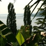 Unsere Eindrücke (in Text und Bild) von der Insel Mainau -  Outdoor-Erlebnisse  IMG_3742-150x150