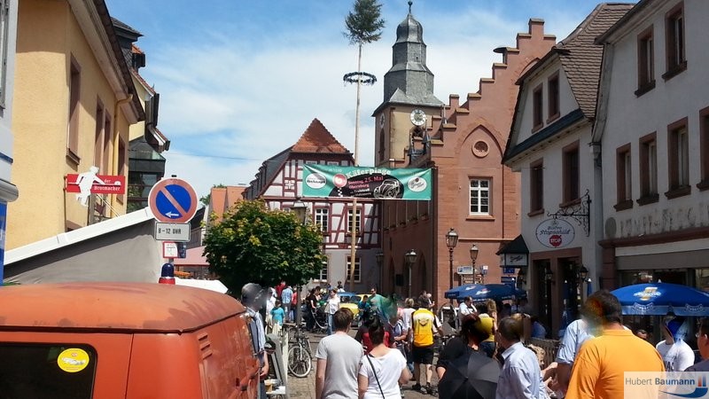 Käferplage in Obernburg - Kurzmeldung  20140525_131629_Android