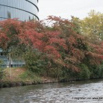 Straßburg: Europaparlament und Orangerie - Kategorien: Elsass Frankreich Städte  IMG_5545-150x150