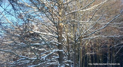 Sonntag, Sonne, Schnee und strahlend blauer Himmel satt - was will man mehr? (24 Aufnahmen) - Kategorien: Kurzmeldung 
