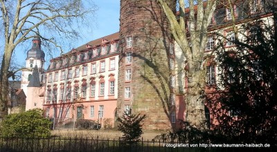 Altstadt und Schloss Erbach / Odenwald