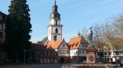 Altstadt und Schloss Erbach / Odenwald