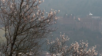 Heidelberg - auf dem Philosophenweg