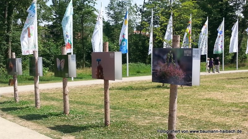 Bayerische Gartenschau in Alzenau <p> Teil 1: Der Generationenpark - Kategorien: Bayern Messen und Veranstaltungen Outdoor-Erlebnisse Pflanzen / Blumen 
