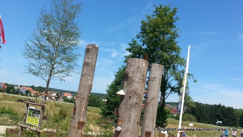 Bayerische Gartenschau in Alzenau <p>Teil 2: Der Energiepark - Kategorien: Messen und Veranstaltungen Pflanzen / Blumen  20150614_133759-800x450