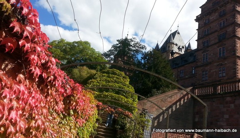 Sonntagsspaziergang bei gigantischem Herbstwetter rund um Schloss und Pompeanum - Kategorien: Kurzmeldung 