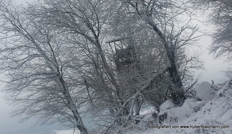 Winterspaziergang an der Hessenthaler Höhe / Hohe Warte -  Kurzmeldung  20160116_114720-780x450