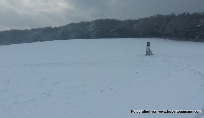 Winterspaziergang an der Hessenthaler Höhe / Hohe Warte -  Kurzmeldung  20160116_115527-780x450