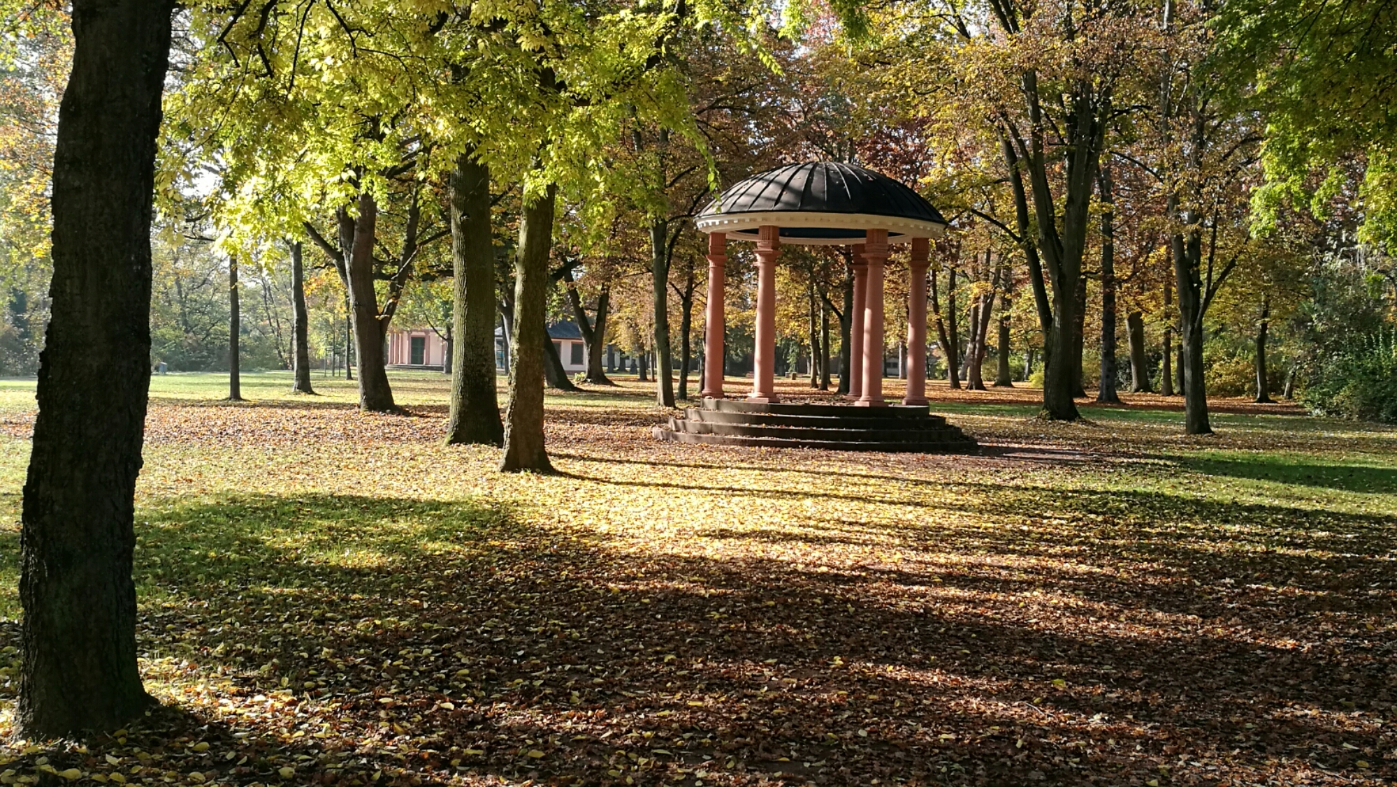 Herbst im Nilkheimer Park / Aschaffenburg - Kategorien: Bayern Outdoor-Erlebnisse Pflanzen / Blumen 