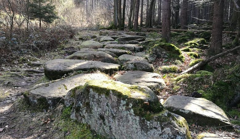 Ein steiniger Weg / Alter Schulweg, Dammbach - Geishöhe