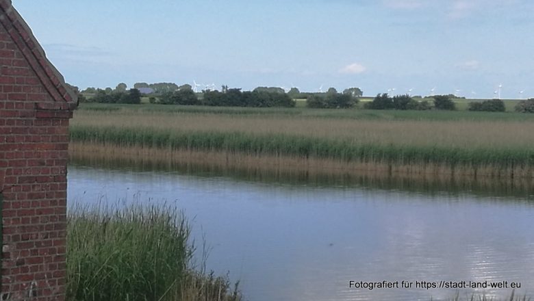 Ein Besuch im Wasservogelreservat Wallnau auf Fehmarn -  Deutschland Flüsse und Seen Pflanzen / Blumen Radtouren Schleswig-Holstein Tiere Wohnmobil-Touren  IMG_20170605_150128-780x440