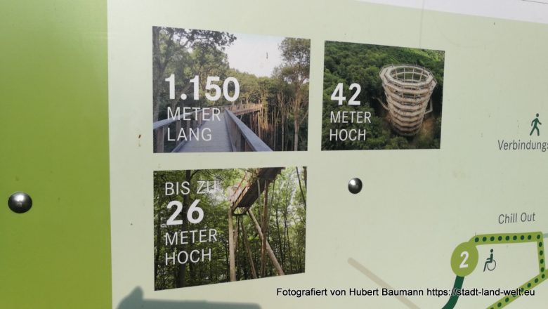 Über den Bäumen des Steigerwalds: Der Baumwipfelpfad in Ebrach -  Bayern RSS-Feed Wanderungen Wohnmobil-Touren  IMG_20180915_094538-780x440