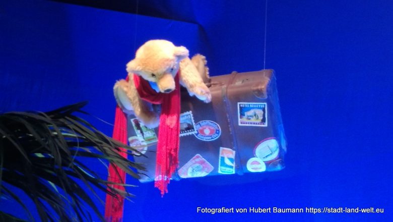 Auf der Suche nach den 3.000 Teddybären -  Baden-Württemberg Deutschland Kultur RSS-Feed Tiere Wohnmobil-Touren  Margarete-Steiff-Museum_153943-780x440