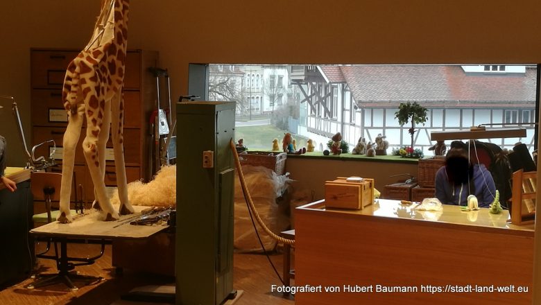 Auf der Suche nach den 3.000 Teddybären -  Baden-Württemberg Deutschland Kultur RSS-Feed Tiere Wohnmobil-Touren  Margarete-Steiff-Museum_160227-1-780x440