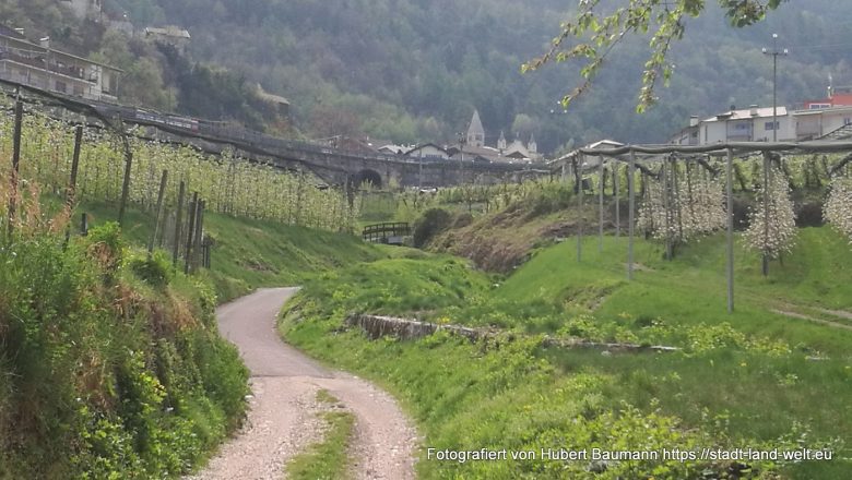 Von Neumarkt über Montana und Cavalese zum Lavaze Joch (Teil 4 unserer Südtirol-Rundreise) - Kategorien: Outdoor-Erlebnisse RSS-Feed Südtirol Wohnmobil-Touren  IMG_20190413_113143-780x440