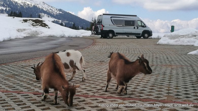 Von Neumarkt über Montana und Cavalese zum Lavaze Joch (Teil 4 unserer Südtirol-Rundreise) - Kategorien: Outdoor-Erlebnisse RSS-Feed Südtirol Wohnmobil-Touren  IMG_20190413_134141-780x440