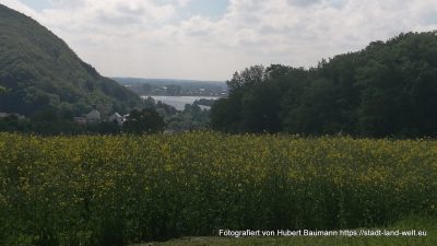 Ein längst überfälliger und ein bedrückender Besuch in Oberösterreich -  Burgen und Schlösser Kultur Oberösterreich Österreich Outdoor-Erlebnisse RSS-Feed Wohnmobil-Touren  Walhalla-Donaustauf_100415-400x225