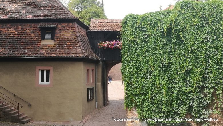 Besuch auf der Burg Rothenfels bei Marktheidenfeld -  Bayern Burgen und Schlösser Flüsse und Seen Outdoor-Erlebnisse RSS-Feed  IMG_20190720_134800-780x440