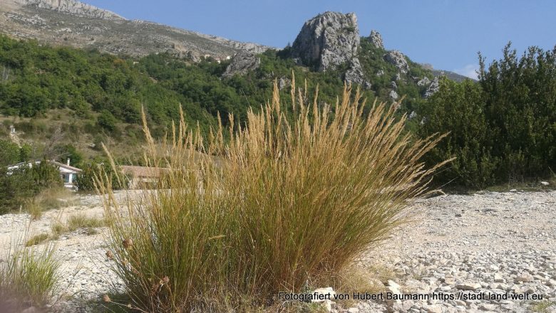 Von Castellane durch die Verdon-Schlucht nach Mostiers-Staintes-Marie - Kategorien: Frankreich Outdoor-Erlebnisse Provence RSS-Feed Wohnmobil-Touren  IMG_20190918_114800-780x440