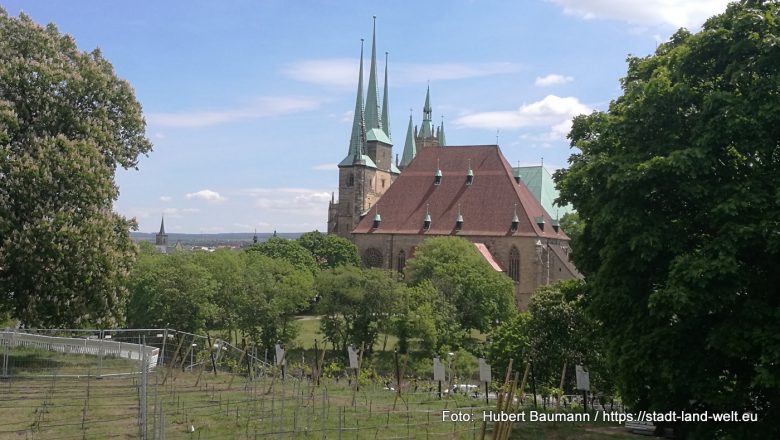 Besuch in Erfurt - Kategorien: Deutschland Städte Thüringen Wohnmobil-Touren 