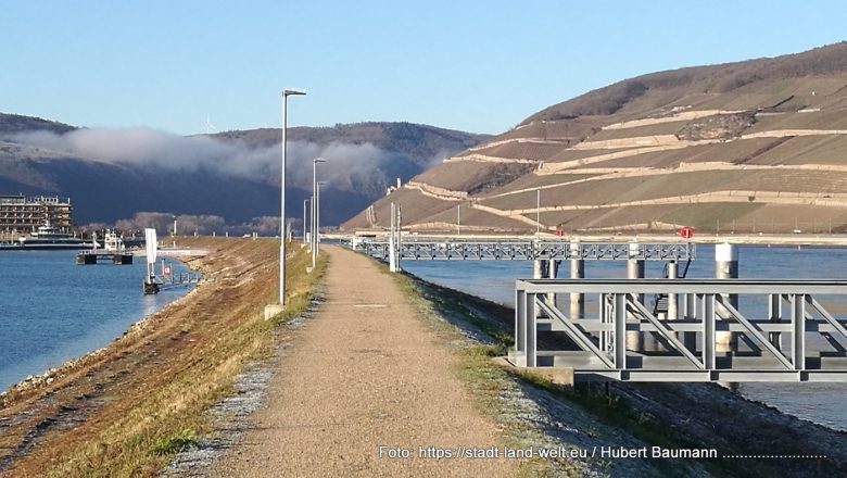 Die Hindenburgbrücke zwischen Bingen und Rüdesheim am Rhein -  Deutschland Geheimtipp Industriekultur Kultur Lost Places Rheinland-Pfalz RSS-Feed  74-IMG_20211221_104942-780x440