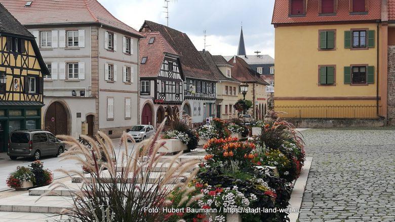 Fünf sehenswerte Altstädte an der Elsässischen Weinstraße - Kategorien: Elsass Frankreich Geheimtipp Historische Altstadt RSS-Feed Städte Wohnmobil-Touren  069-IMG_20220828_145623-1-780x440