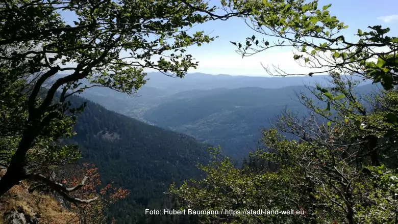 Vogesen-Kammstraße: Pässe, Seen und Gipfel -  Berge Elsass Frankreich RSS-Feed Wanderungen Wohnmobil-Touren  200-IMG_20220902_105850-780x440