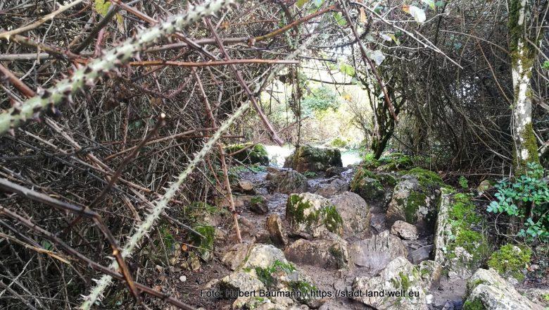 Das Naturschutzgebiet El Torcal bei Antequera in Andalusien - Kategorien: Berge Outdoor-Erlebnisse RSS-Feed Wanderungen  316-IMG_20230130_120227-780x440