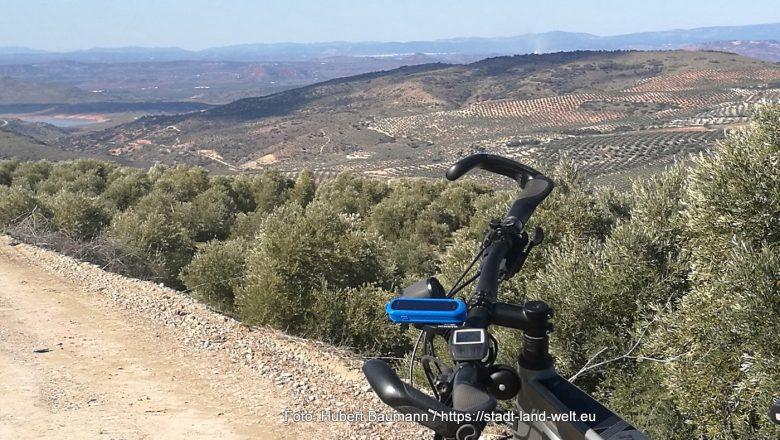 Woher kommt das ganze Olivenöl? - Kategorien: Essen und Trinken Outdoor-Erlebnisse Pflanzen / Blumen Radtouren Spanien Wohnmobil-Touren 