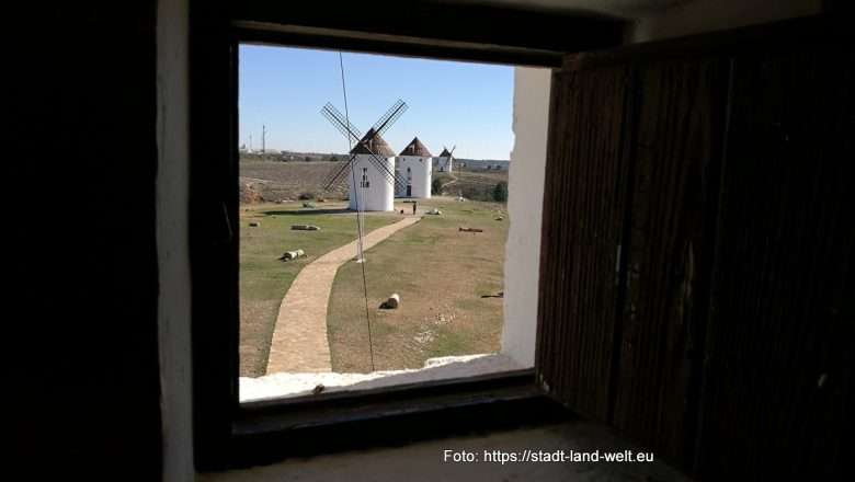 Don Quijote und der Kampf gegen die Windmühlen -  Kultur Outdoor-Erlebnisse Spanien Wohnmobil-Touren  287-IMG_20240203_133833-780x440